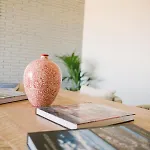 Ana Villa